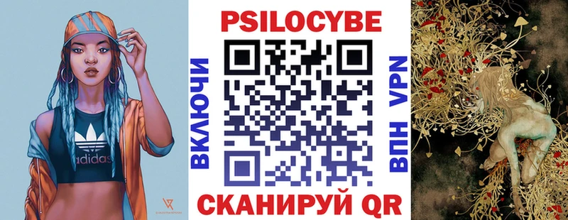 blacksprut ТОР  Красноярск  Псилоцибиновые грибы мицелий 
